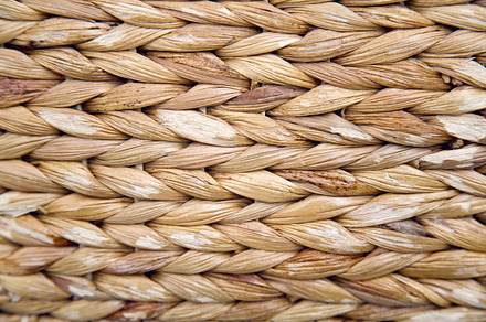 weaving the bright, vine arrow, an Abstract Photo by SaulichPhoto