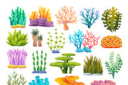 Coral Reef & Seashell Collection, a Decorative Illustration by YG Studio (Thumbnail 2 of 4)