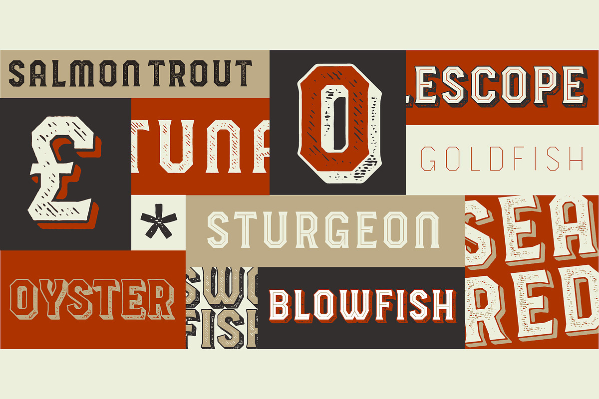 HAVARD DISPLAY - SQUARED & LAYERED preview 5
