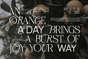 Rauleko Calligraphy Serif Font, a Serif Font by Graphicxell (Thumbnail 4 of 10)