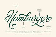 Anatomical - Elegant Script Font, a Script Font by Arendxstudio (Thumbnail 2 of 8)