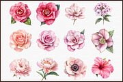 Watercolor Flowers Pink Clipart Set, an Illustration by Sublimation Artist (Thumbnail 3 of 6)