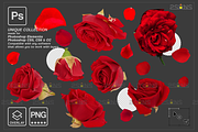 RED Rose Petals photo overlays, an Object Graphic by 2SUNS (Thumbnail 4 of 10)