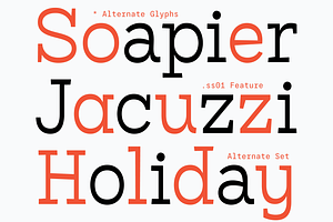 Bardamu Happy & Weird Slab Serif