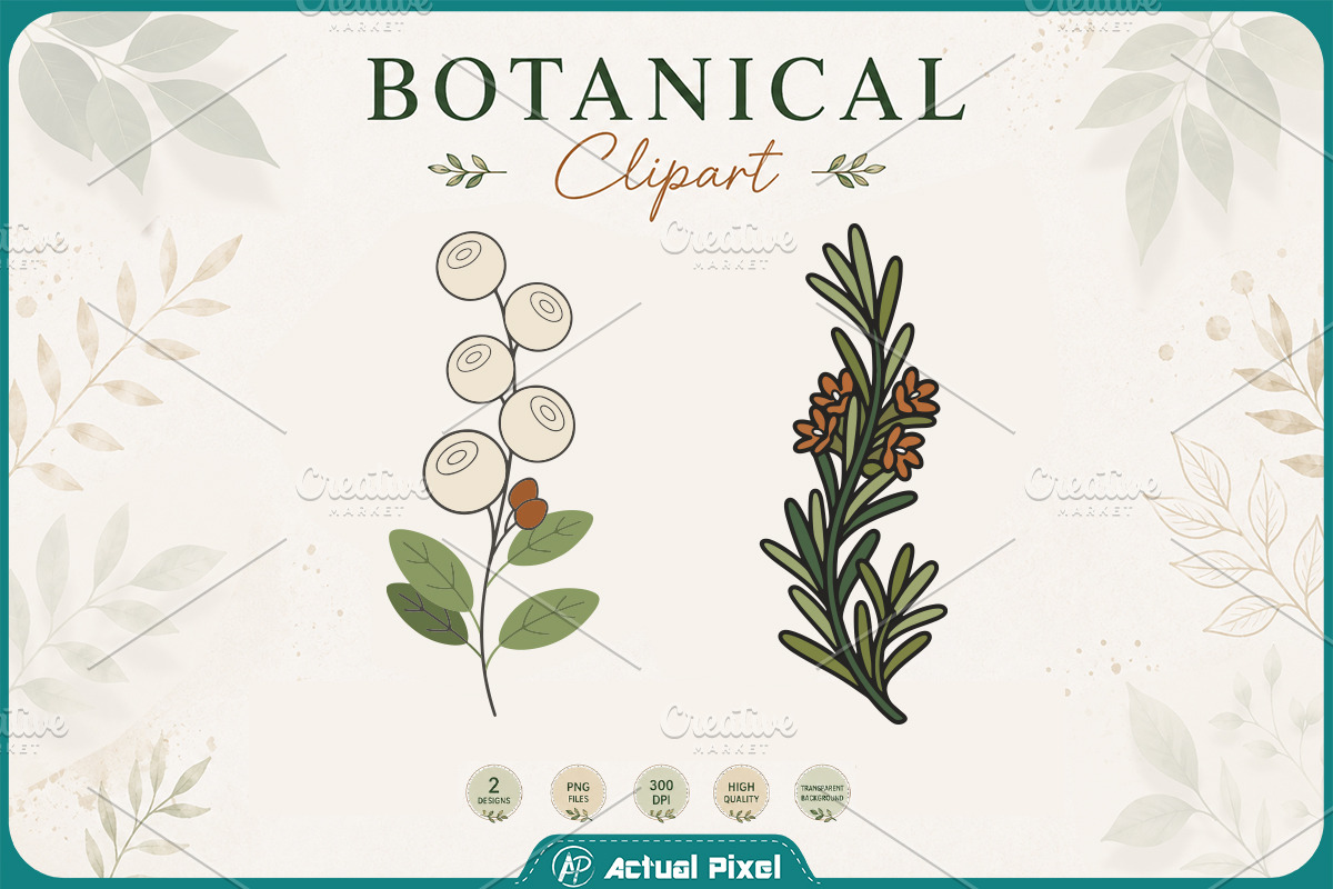 Boho Botanical Leaves Clipart Bundle, a Nature Photo by Actual Pixel (Photo 4 of 21)
