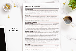 Clean ATS Friendly Resume Template