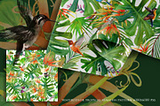 Watercolor Tropical plant & Bird, an Object Graphic by FineArt (Thumbnail 19 of 22)
