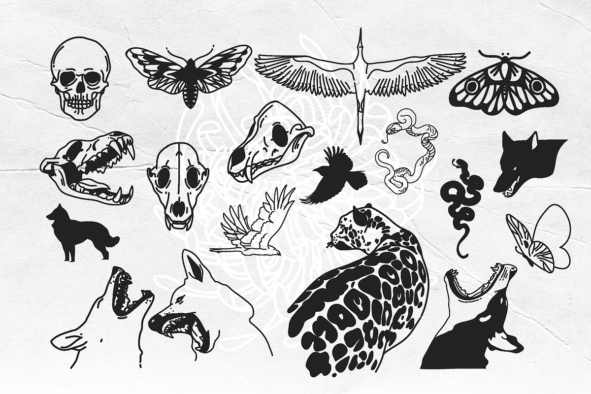 Dark side of the LUNA 20% OFF!!!, an Animal Illustration by Anastasy_helter (Photo 5 of 23)