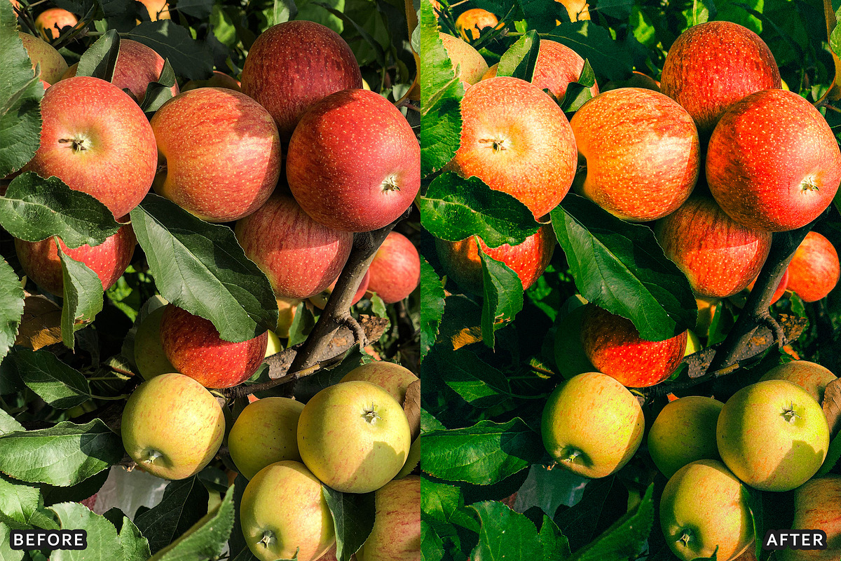 Golden Apple Orchard Presets, a Preset Add-On by AAA Presets (Photo 3 of 14)