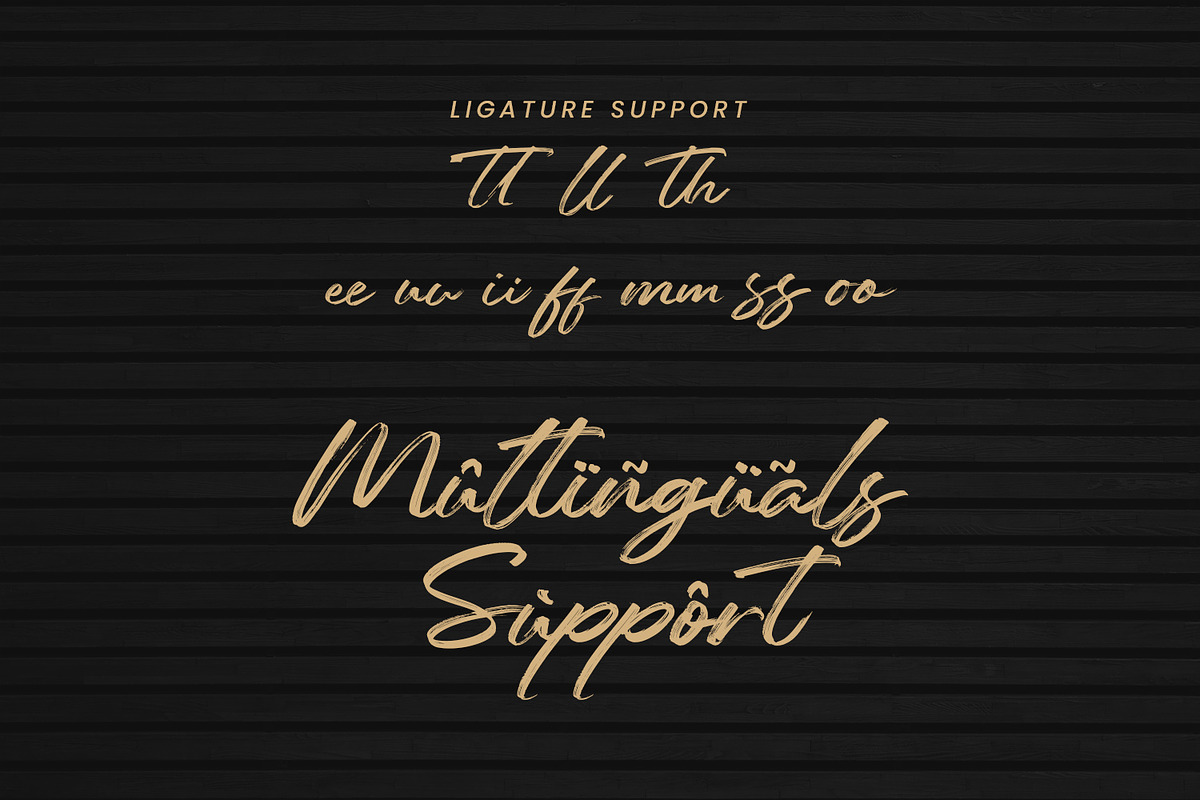 Reinkies - Authentic Brush Script, a Script Font by Almarkhatype (Photo 9 of 10)