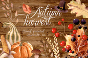 Autumn Harvest Watercolor Clipart, an Illustration by Sha1nee (Thumbnail 1 of 6)