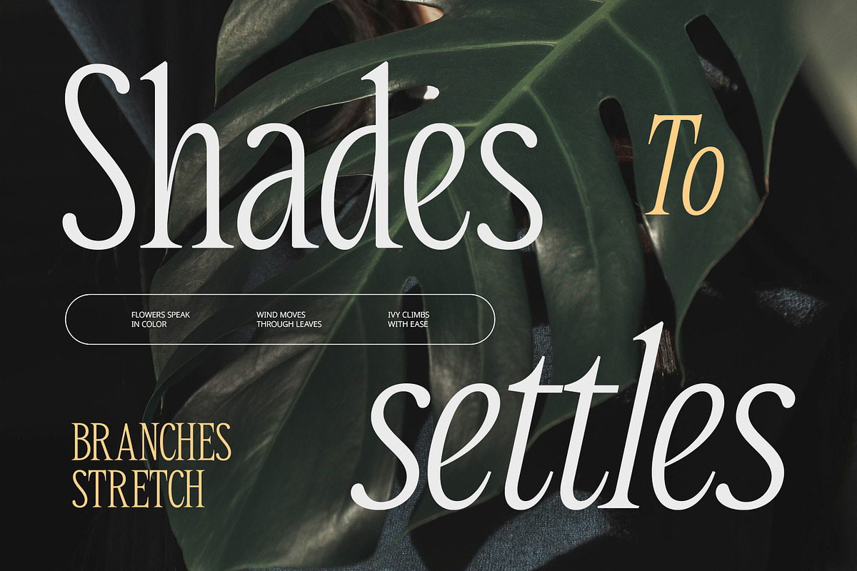 CS Alpine – Contemporary Font, a Serif Font by Craft Supply Co. (Photo 5 of 8)