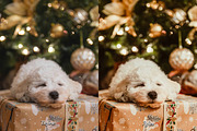 30 Jolly Cream Photoshop Collection, an Action Add-On by 3Motional (Thumbnail 2 of 11)