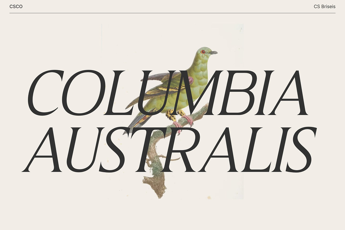 CS Briseis – Luxury Serif Font, a Serif Font by Craft Supply Co. (Photo 6 of 8)