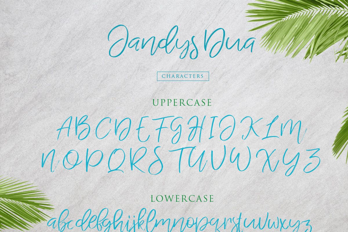 Jandys Typeface preview 8