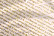 Calmius EB Italic, a Serif Font by NREY (Thumbnail 3 of 8)