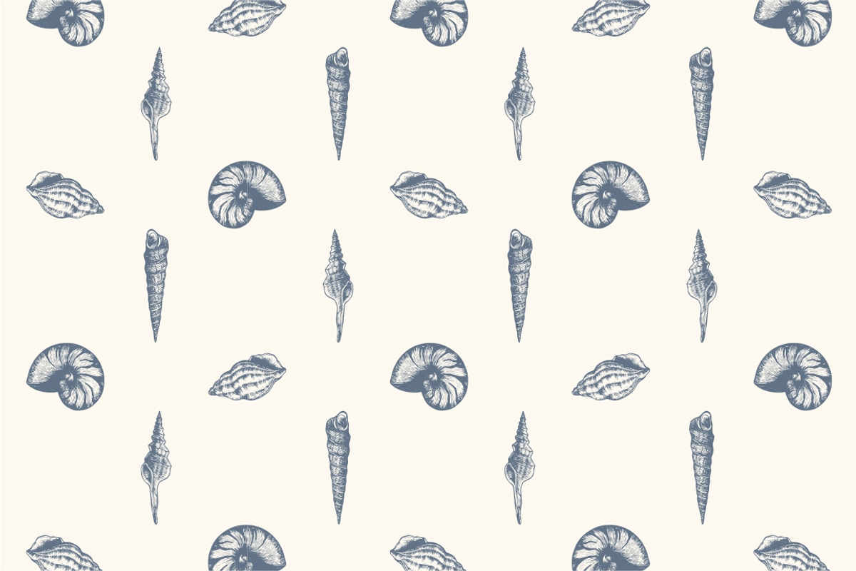 10 Hand Drawn Seashell + 5 Patterns, an Object Illustration by Storyteller Imagery (Photo 3 of 7)