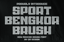 Sport Bengkor Brush