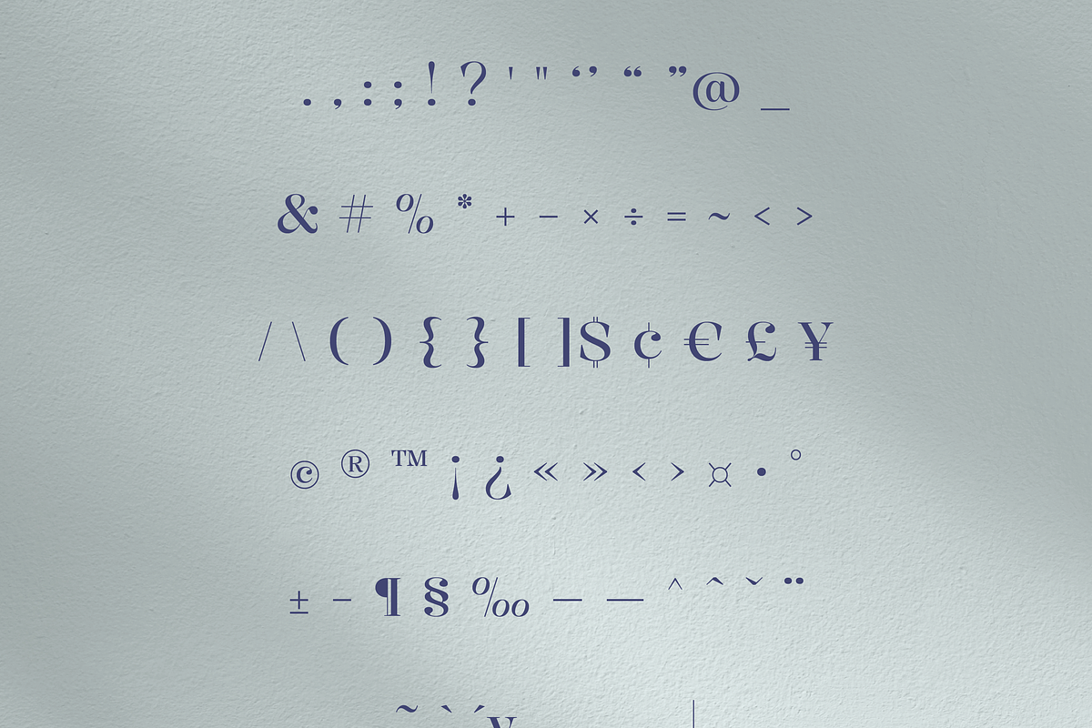 Kiaro Serif | Font Family, a Serif Font by Creative Foundry (Photo 8 of 8)