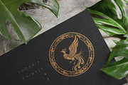 Chinese Phoenix decorative pattern, a Decorative Illustration by DesignFolioHub (Thumbnail 5 of 6)