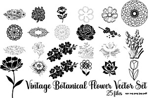 Vintage Botanical Flower Vector Set, an Object Illustration by Designer_Momina