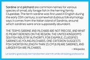 Le Sardino - Font for display & text, a Sans Serif Font by Suolahti Type (Thumbnail 4 of 7)