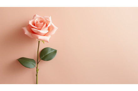 pink rose flower background ai, a Nature Photo by pikepicture