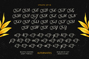 Billotea Typeface, a Script Font by alit design (Thumbnail 18 of 20)