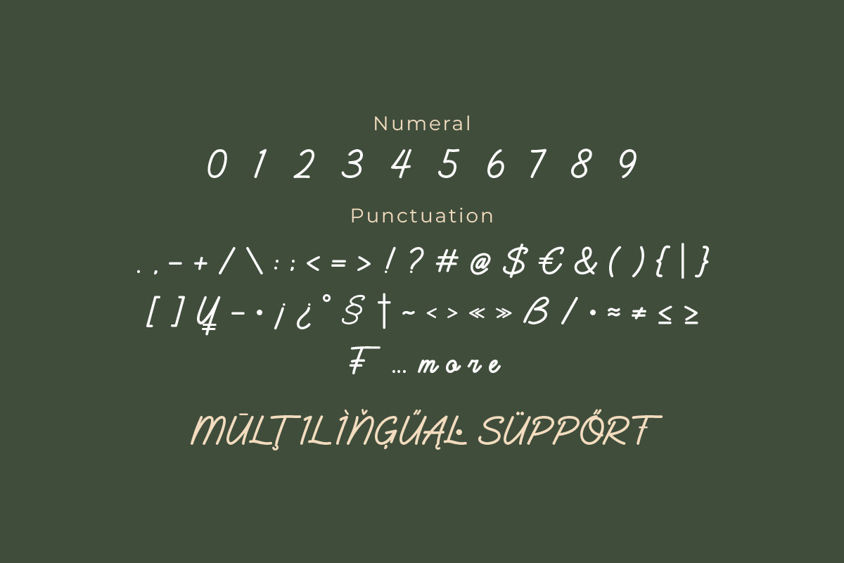 Bashats - Script Monoline Font, a Handwritten Font by twinstd (Photo 5 of 7)