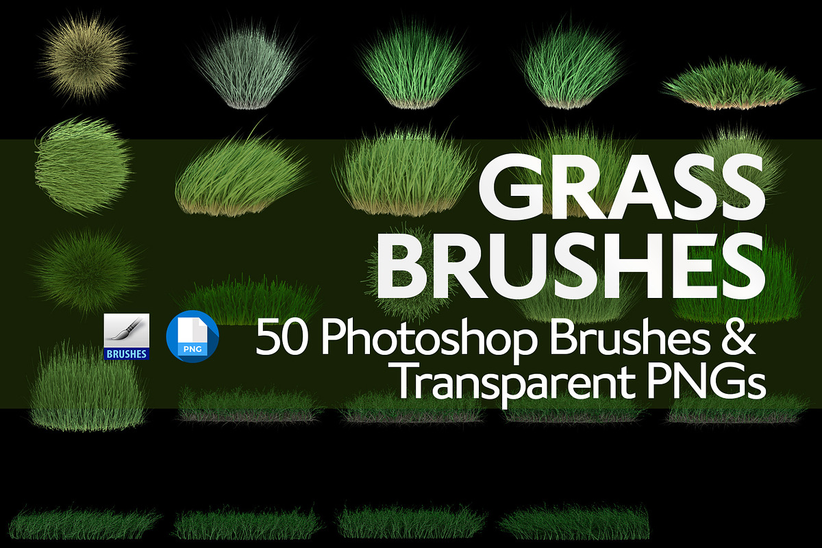 Grass Brushes for PS and PNGs, a Brush Add-On by Creative Graphics (Photo 2 of 6)
