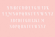 Bachon - Elegant Ligature Serif, a Serif Font by Luna Shop (Thumbnail 6 of 8)