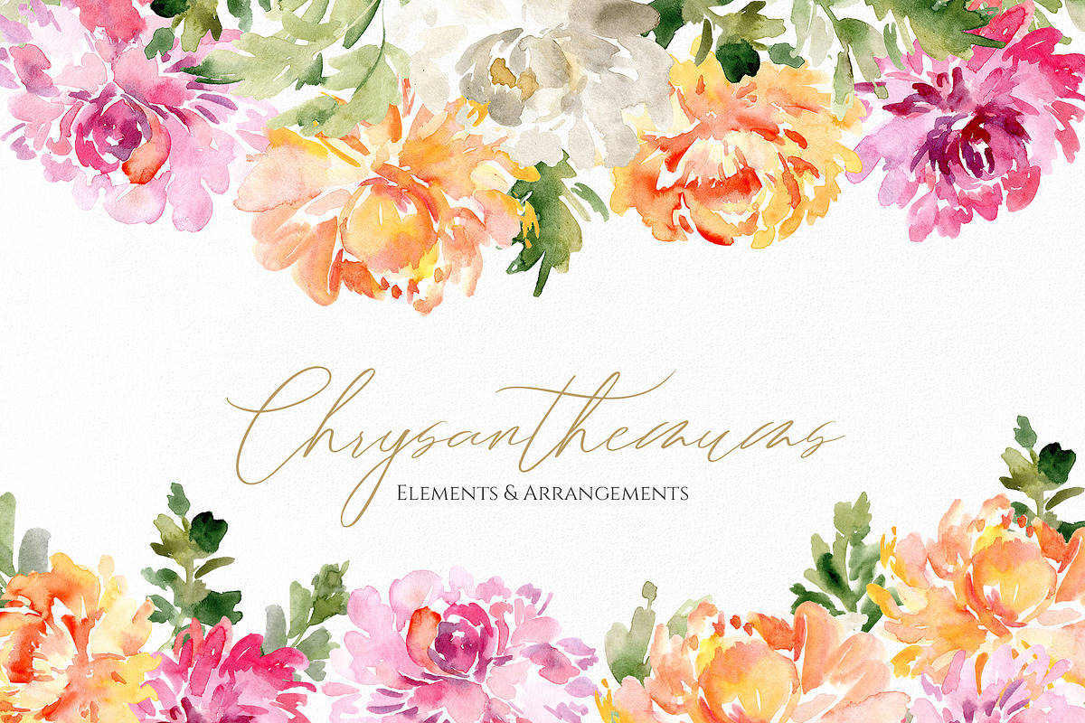 Fall Watercolor Chrysanthemums, a Decorative Illustration by GraphicsDish (Photo 1 of 3)