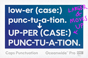 Oceanwide Pro Family, a Sans Serif Font by California Type Foundry (Thumbnail 6 of 13)
