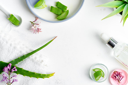 Natural ingredients for making featuring vera, aloe, and spa, a Health & Medical Photo by YuMyart