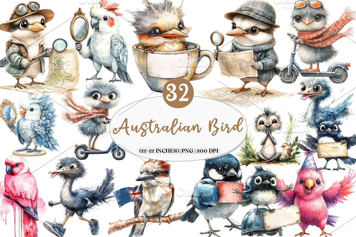 Funny Australian Bird Clipart, an Illustration by Watercolor design (Photo 1 of 5)