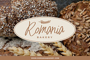 Palmaera - Signature Display Typefac, a Handwritten Font by VASTARD STUDIO (Thumbnail 8 of 12)