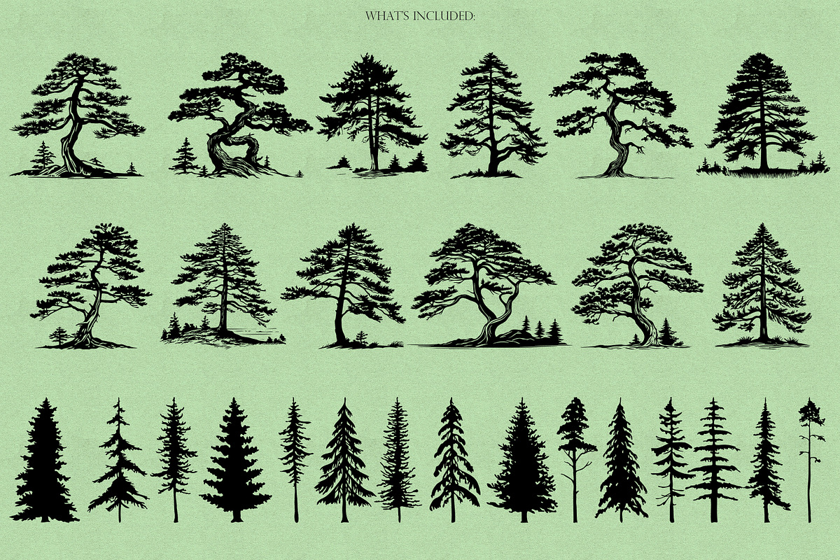 Pine Trees Procreate Stamps, a Brush Add-On by Dervik Art Store (Photo 2 of 5)