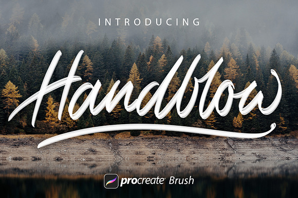 Handflow Procreate Brush preview 8
