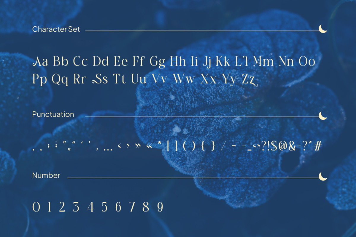 Cagiste Elegant Luxury Serif Font, a Serif Font by Rasio Studio (Photo 2 of 8)