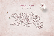 Delicate Roses - Hand Drawn Clipart, a Texture Illustration by Aquarellina (Thumbnail 12 of 15)