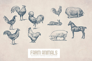 55 Vintage Farm Animals