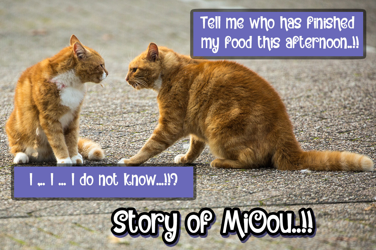 Strange of story, a Font by Bramcreative (Photo 11 of 12)