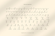 Theafalina - Beauty Elegant Script, a Script Font by Aksapix Studio (Thumbnail 9 of 10)