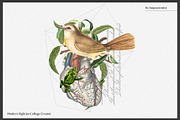 BlackSale! Collage Master Collection, an Object Graphic by SNIPESCIENTIST (Thumbnail 66 of 94)