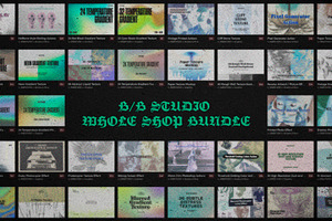B/B Studio Whole Shop Bundle, a Brushes & More by B/B STUDIO