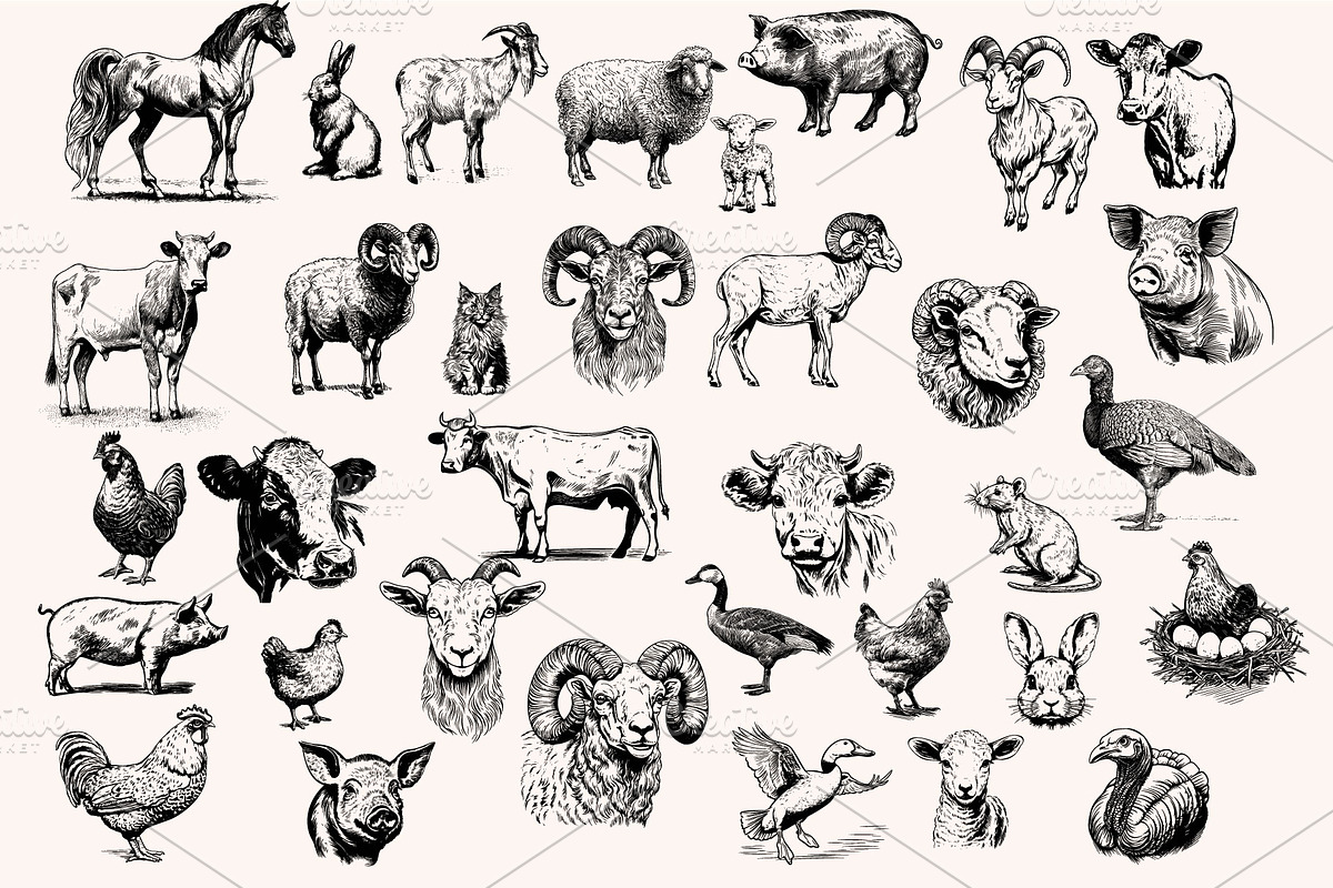 Farm Animals Collection 34 arts, a Graphic by IPVector (Photo 2 of 7)