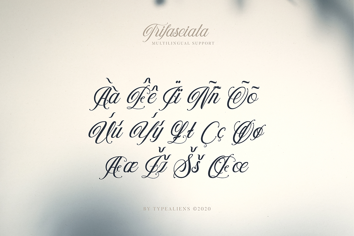 Trifasciata, a Script Font by ilhamtaro (Photo 10 of 11)
