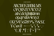 Bagieska Stylish Sans Serif Font, a Sans Serif Font by Heinzel Std (Thumbnail 9 of 11)