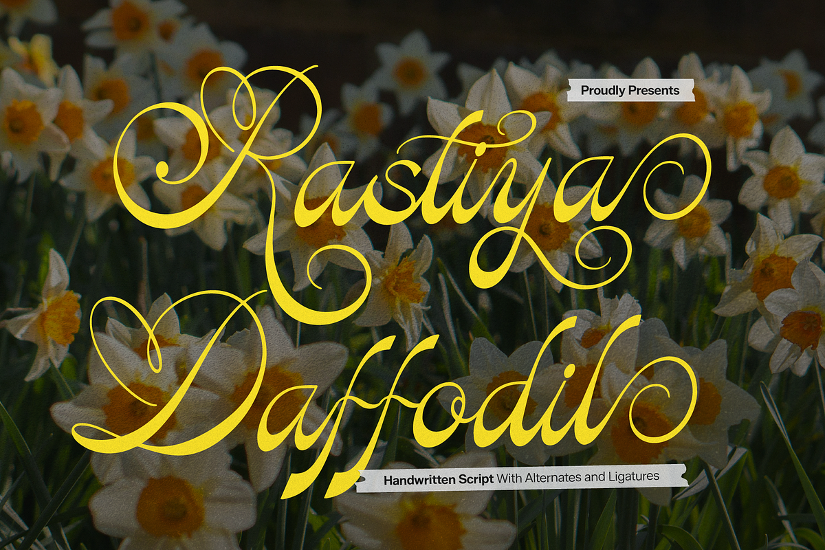 Rastiya Daffodil Handwritten Script, a Script Font by gracetype_studio (Photo 1 of 11)