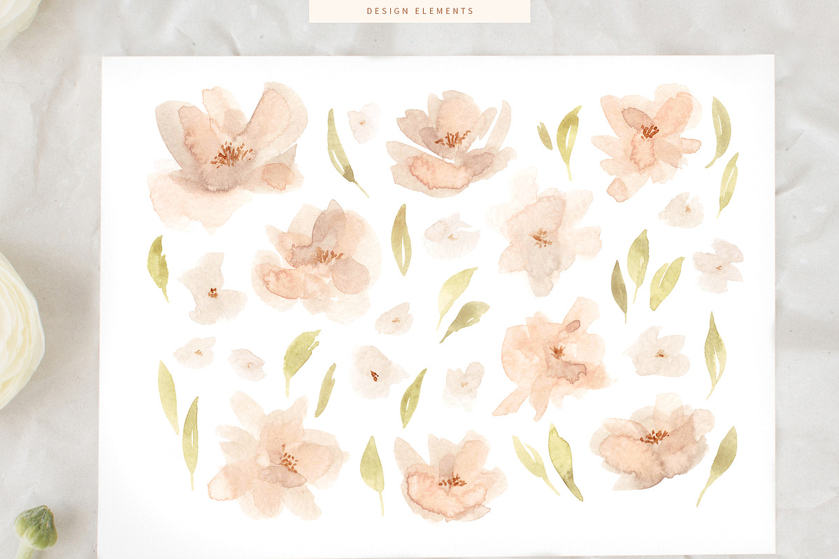 Watercolour Flowers and Patterns, a Decorative Illustration by eclosque (Photo 4 of 8)